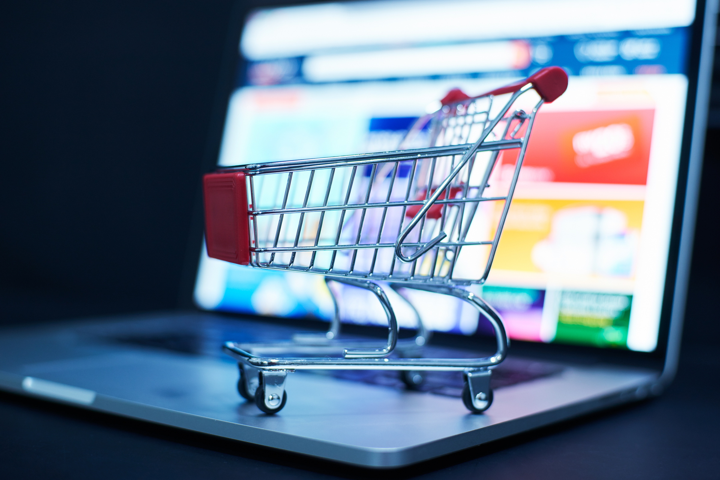 Online Ecommerce Shopping Concept 